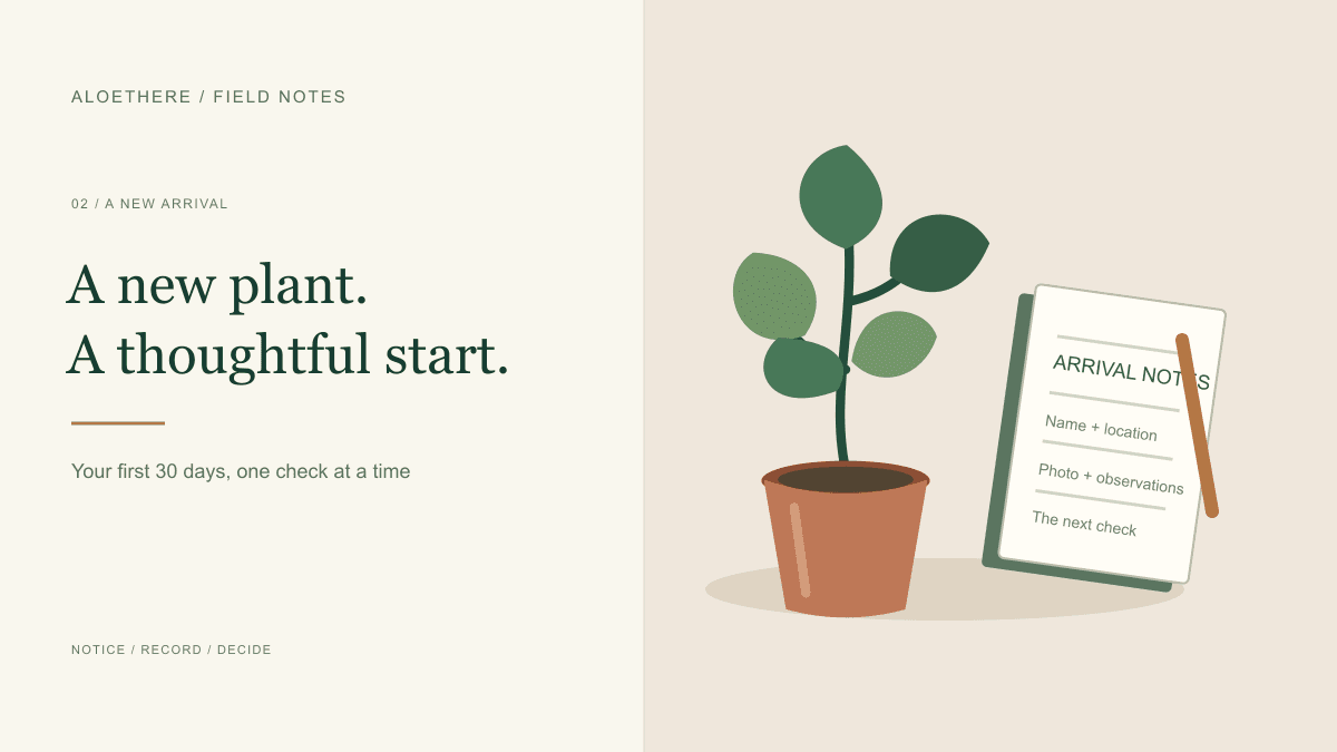 Illustration of a new houseplant beside an arrival notebook for photos, observations, and the next check.