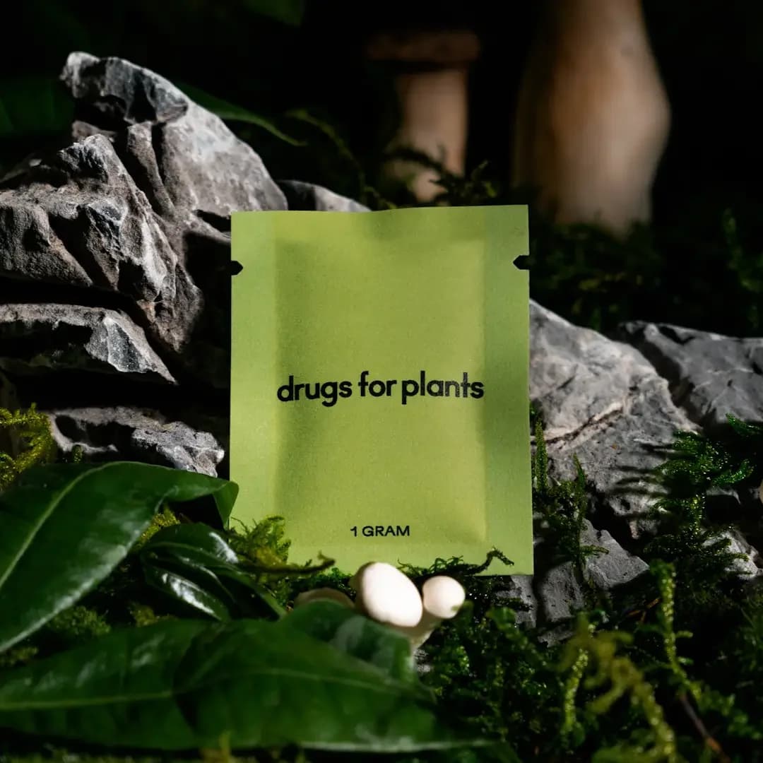 Plant Fertilizer 1G Bag (Grow)