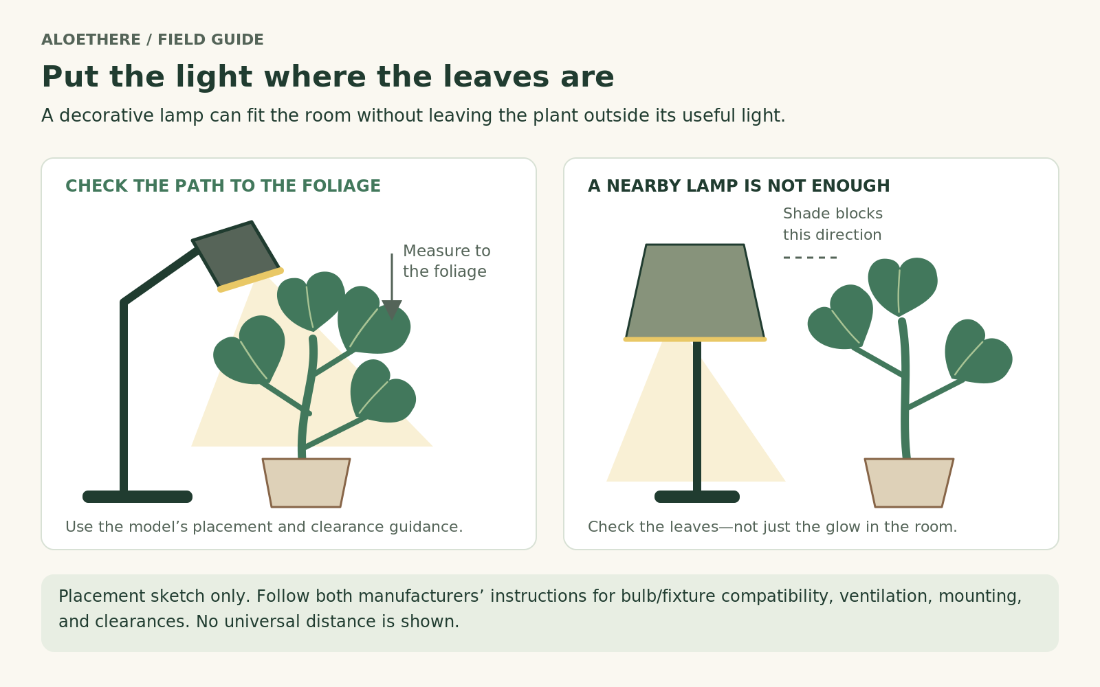 Conceptual lamp layouts comparing light directed toward foliage with a plant outside the main beam beside an opaque lampshade.