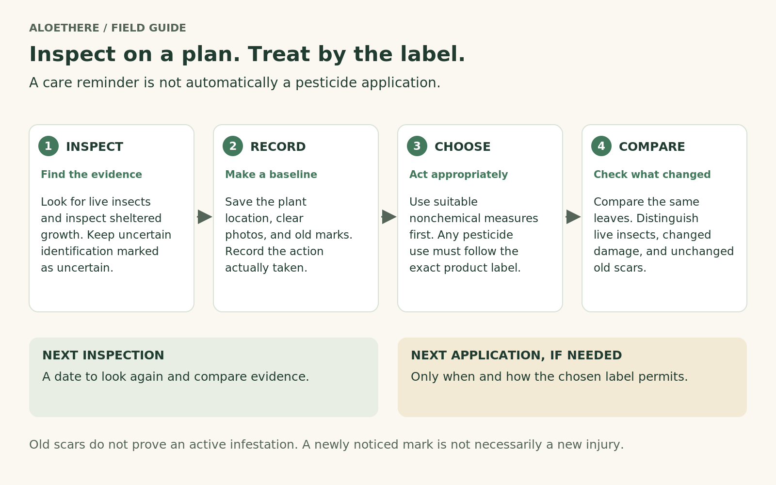 Four-step thrips workflow: inspect, record, choose an action, and compare. Inspection reminders and label-directed applications have separate follow-ups.